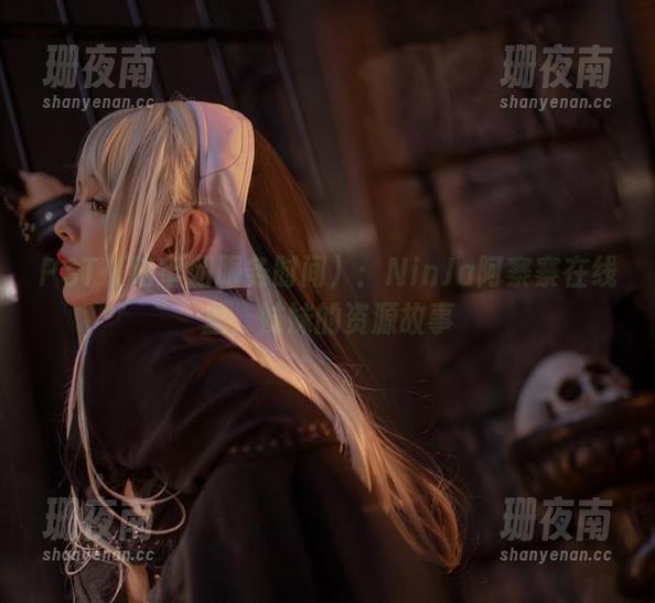 NinJa阿寨寨 PST(陪审团服务时间):NinJa阿寨寨在线里,妹妹的资源故事