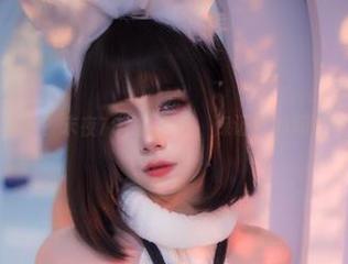 特别的宠物?末夜787的合集,保证你的期待全泡汤了
